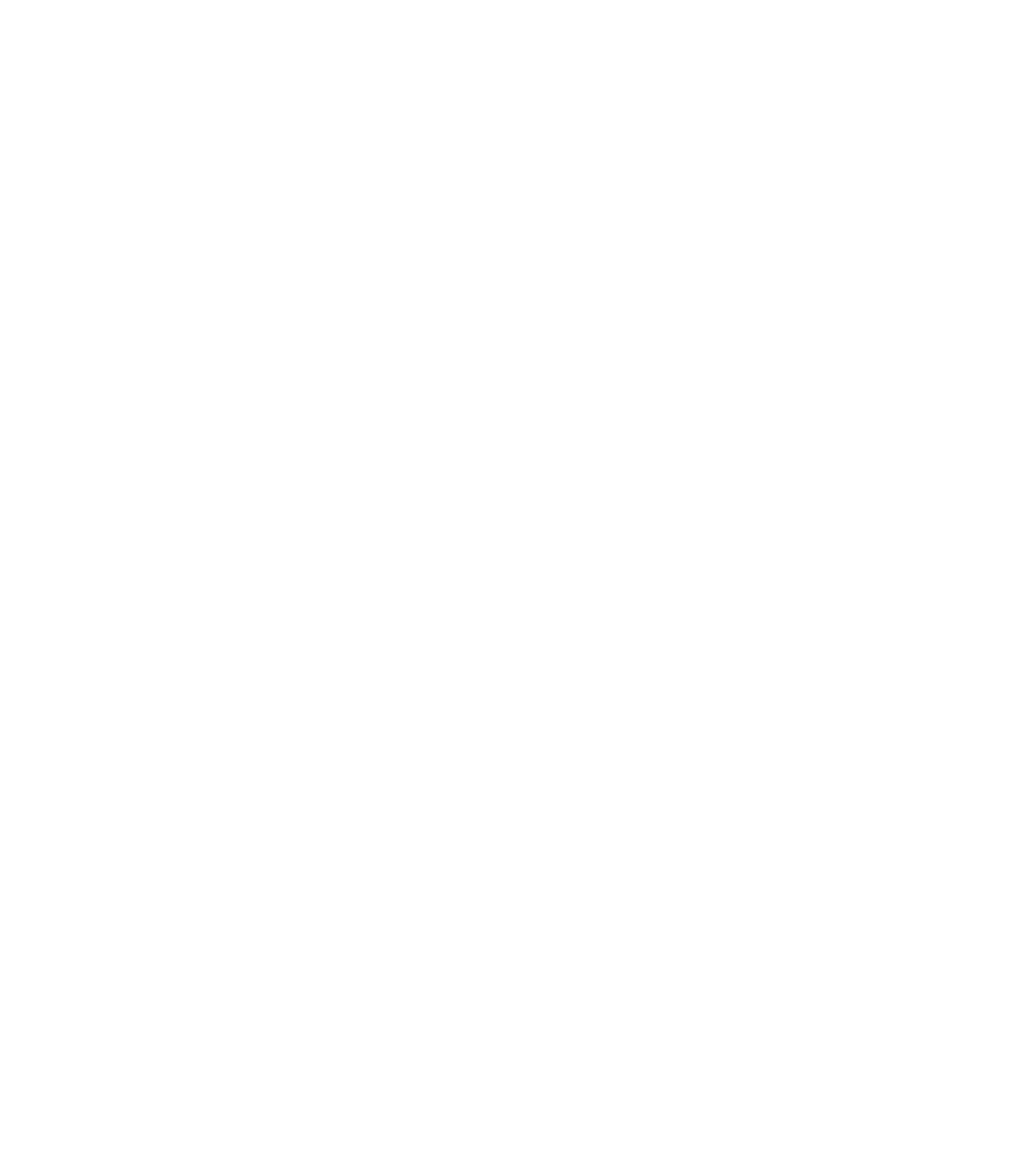 Young India IAS